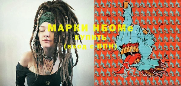 гашик Алексин