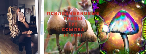 амф Апатиты