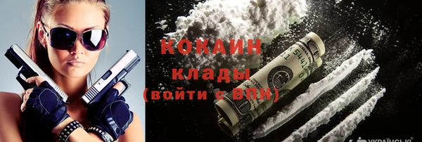 крисы Алзамай