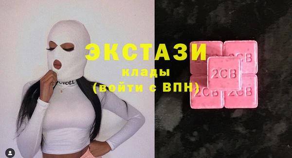 гашик Алексин