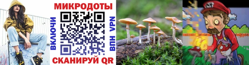 Галлюциногенные грибы Psilocybe Чистополь