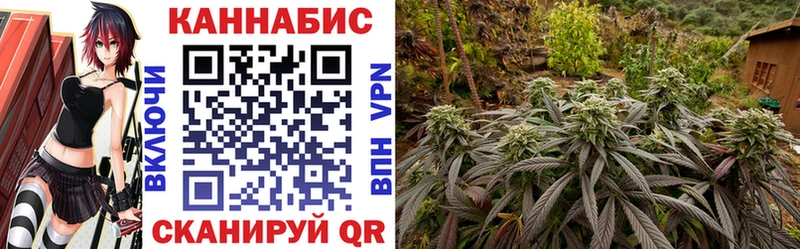 продажа наркотиков  Чистополь  Канабис марихуана 